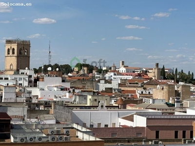 MAGNÍFICO APARTAMENTO SIN AMUEBLAR JUNTO A PUERTA PILAR