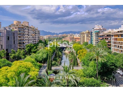 Piso en venta en Calle Ps Mallorca