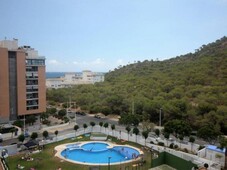 Venta Piso Villajoyosa - La Vila Joiosa. Piso de una habitación Octava planta con terraza