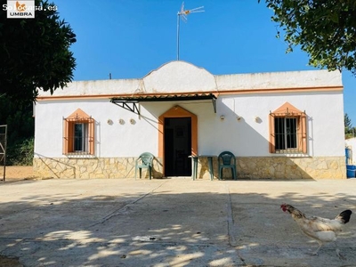 Finca a solo 10 minuto del centro historico