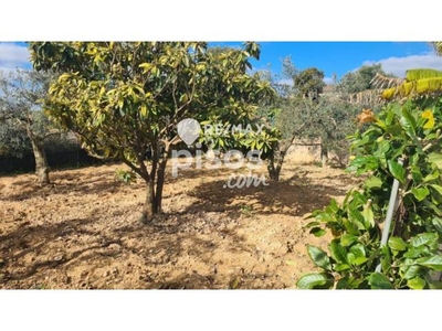 Finca rústica en venta en Porto Cristo