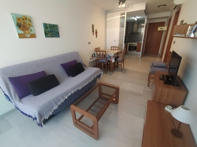 APARTAMENTO EN GREGAL 1