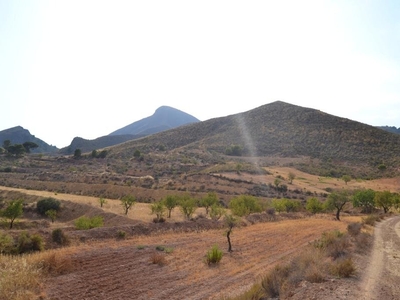 FINCA DE CULTIVO EN LA SIERRA DE ALMENARA