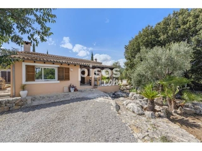 Finca rústica en venta en Pollença