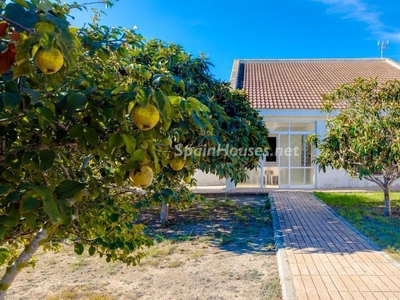 Chalet independiente en venta en San Miguel de Salinas