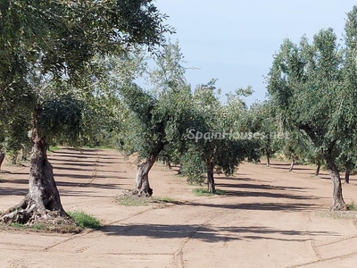 Finca en venta en Cretas