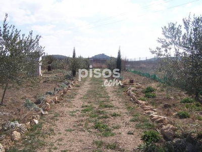 Finca rústica en venta en Calle Abenuj