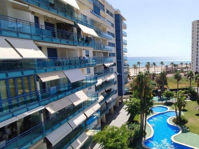 Alquiler Piso Alicante - Alacant. Piso de dos habitaciones Quinta planta con terraza