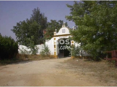 Finca rústica en venta en Calle Pago El Perotonar, Poligono 16, nº S/N