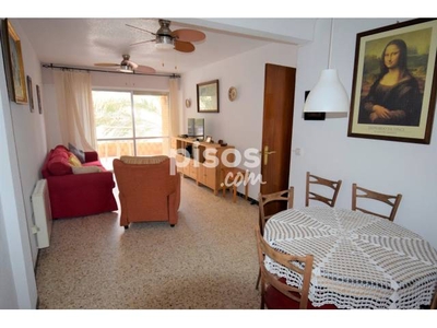 Apartamento en alquiler en Guardamar Playa en Guardamar Playa por 450 €/mes