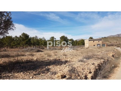 Finca rústica en venta en Calle Rebalso