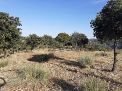 Terreno/Finca Rústica en venta en Navas del Rey, Madrid