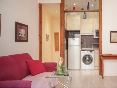 Acogedor apartamento de 1 dormitorio en La Latina, Madrid