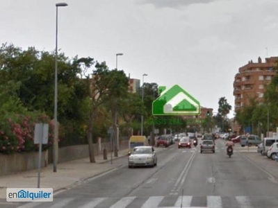 Alquiler de Piso 4 dormitorios, 2 baños, 0 garajes, Reformado, en Sanlúcar de Barrameda, Cádiz