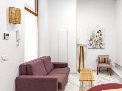 Apartamento de 1 dormitorio en alquiler en Sevilla