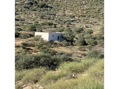 Casa de campo-Masía en Venta en Fernanperez Almería