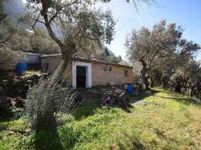 Casa en venta con olivar en Marroig Fornalutx.