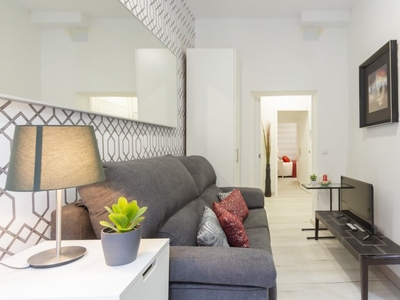Elegante apartamento de 1 dormitorio en alquiler en Centro, Madrid