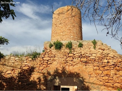 Espectacular Molino del siglo XVIII a reformar en el pintoresco pueblo de Santanyi