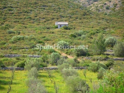 Parcela en venta en Alcalalí