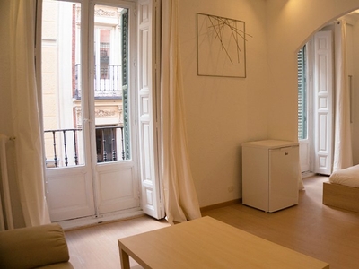 Bonito y luminoso estudio en alquiler en Malasaña, Madrid