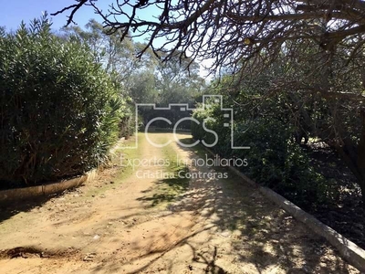 Finca/Casa Rural en venta en Sanlúcar la Mayor, Sevilla