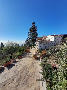 Finca/Casa Rural en venta en Cruz de Tea, Granadilla de Abona, Tenerife