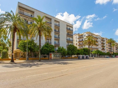 Venta Piso Jerez de la Frontera. Primera planta con terraza