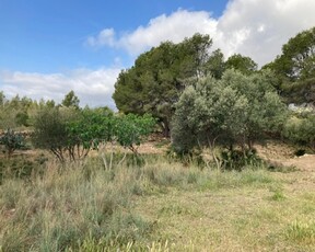 Otros en venta en Mont-roig Del Camp