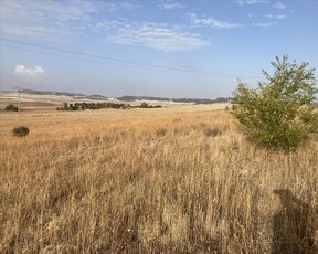 Otros en venta en Simancas