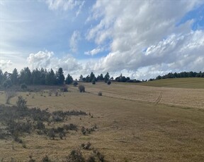 Otros en venta en Valdefresno