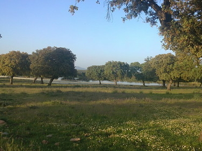 Casa en Venta en Coria, Cáceres