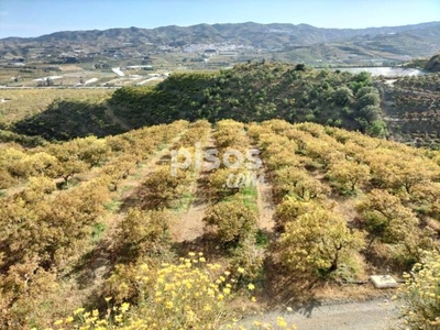 Finca rústica en venta en Chilches