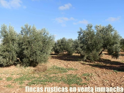 Terreno no urbanizable en venta en la Plaza de España' Tomelloso