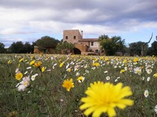 Alquiler Integro en Girona