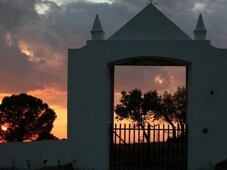 Íntegro/Habitaciones en Evora