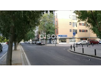 Apartamento en alquiler en Calle Águila Perdicera, 5