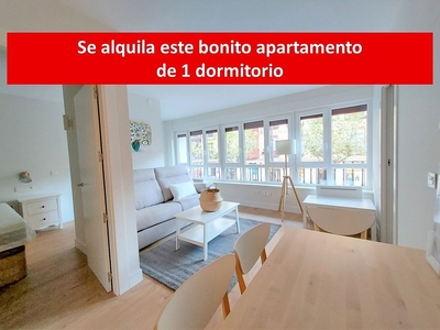 Alquiler de piso en calle Zúñiga de 1 habitación con muebles y calefacción