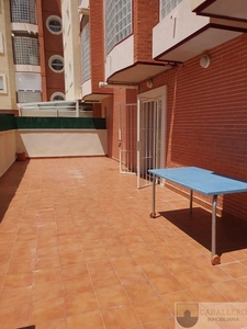 Alquiler de piso en Juan Carlos I de 3 habitaciones con terraza y garaje