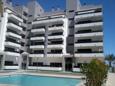 Alquiler de piso con piscina y terraza en Altabix-La Llotja (Elche (Elx))