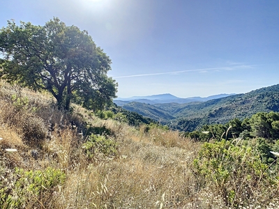 Finca Rústica en venta en Yunquera, Sierra de las Nieves Venta Yunquera