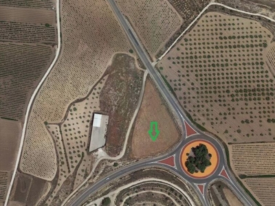 OPORTUNIDAD Venta de 2 Fincas Rústica con una superficie total de 124.839m² en PARAJE LOS MOLINOS, El Pinoso, Alicante Venta Pinoso