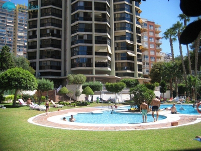 Venta Piso Benidorm. Piso de una habitación Novena planta con terraza