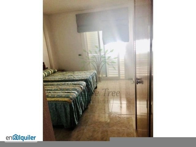 Apartamento de 3 habitaciones en alquiler anual en Ibiza