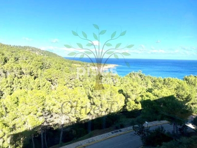 Apartamento en alquiler en Cala de Sant Vicent en Cala de Sant Vicent por 900 €/mes