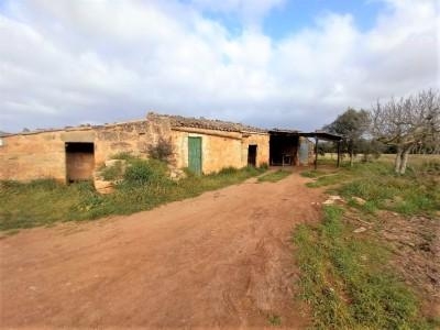 Casa con terreno en Llubí