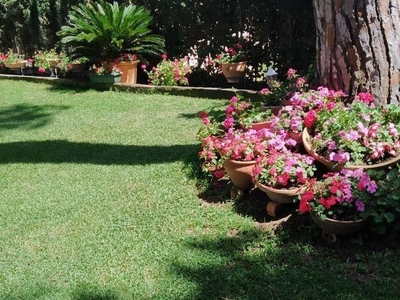 Casa o chalet de alquiler en Calle Bergantín, El Manantial