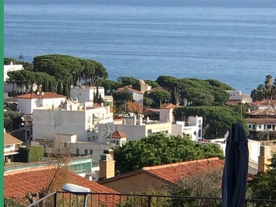 Casa o chalet de alquiler en Carrer de Joan Coromines, Urbanitzacions