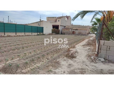 Finca rústica en venta en Orihuela Pedanías