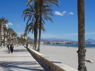 Piso de alquiler en Calle San Francisco, Campello Playa